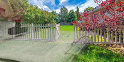 How a Backyard Dispute Became a Supreme Court Case