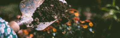 Surveys Plans and Permits for Gardening and Landscaping